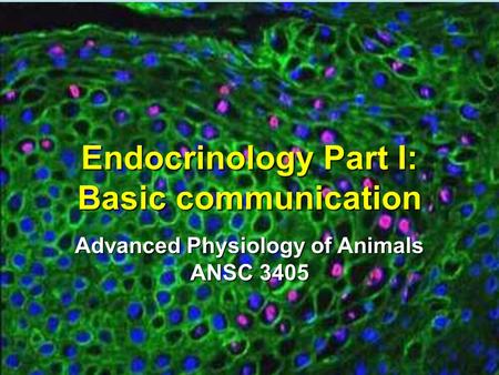 Endocrinology Part I: Basic communication Advanced Physiology of Animals ANSC 3405.