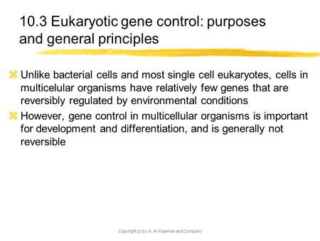 Copyright (c) by W. H. Freeman and Company 10.3 Eukaryotic gene control: purposes and general principles  Unlike bacterial cells and most single cell.