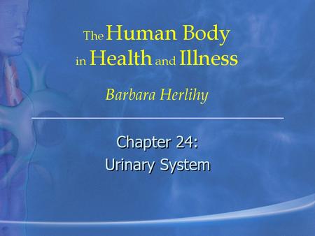 Chapter 24: Urinary System Chapter 24: Urinary System.