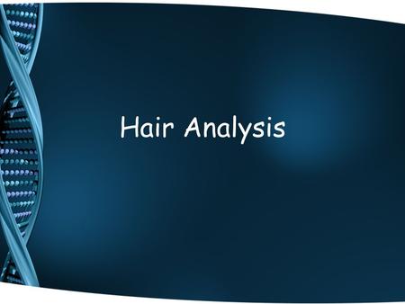Hair Analysis. Information from hair evidence Hair is considered class evidence…can’t be used to identify a specific individual, but can be used to identify.