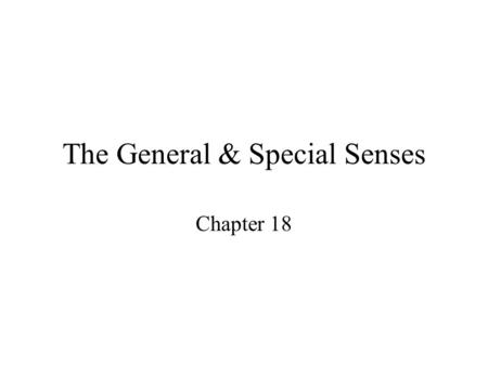 The General & Special Senses Chapter 18. Introduction Senses – our perception of what is “out there” 2 groups –General senses –Special senses.