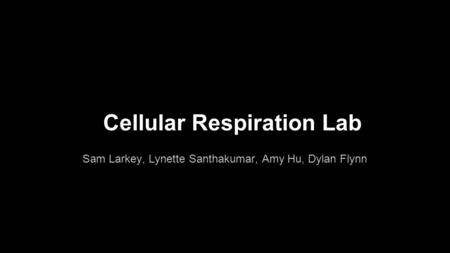 Cellular Respiration Lab Sam Larkey, Lynette Santhakumar, Amy Hu, Dylan Flynn.