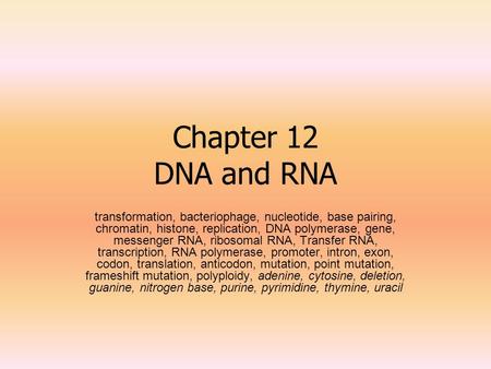 Chapter 12 DNA and RNA transformation, bacteriophage, nucleotide, base pairing, chromatin, histone, replication, DNA polymerase, gene, messenger RNA, ribosomal.