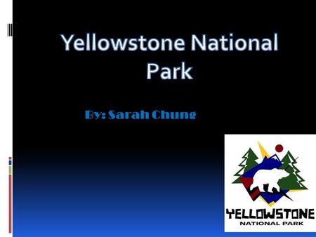 By: Sarah Chung. Map of Yellowstone How Yellowstone Was Formed Most people say that Yellowstone was formed by a volcanic hotspot in Earth’s crust. Although,
