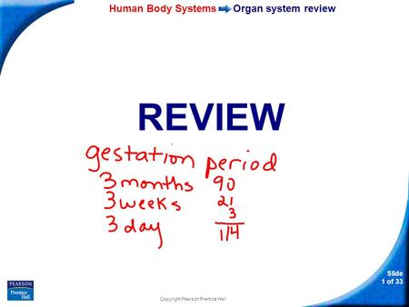 35–1 Human Body Systems Slide 1 of 33 Copyright Pearson Prentice Hall Organ system review REVIEW.