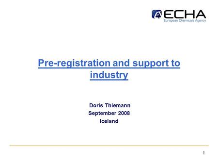 1 Pre-registration and support to industry Doris Thiemann September 2008 Iceland.