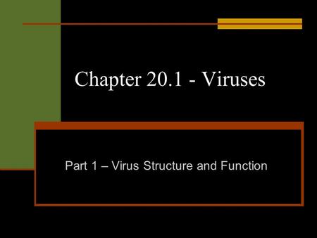 Chapter 20.1 - Viruses Part 1 – Virus Structure and Function.