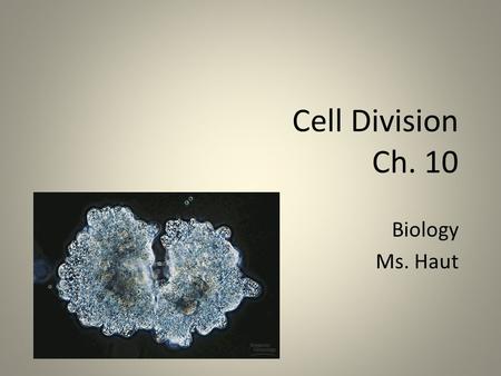 Cell Division Ch. 10 Biology Ms. Haut. 1.Replacement of lost or damaged cells 2.Growth—multicellular organisms grow and develop from single cell (fertilize.
