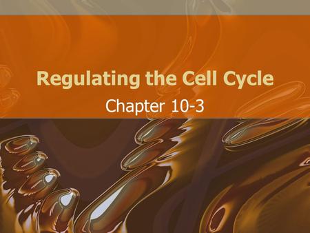 Regulating the Cell Cycle Chapter 10-3. Controls on Cell Division When there is an injury such as a cut in the skin or break in a bone, the cells at the.