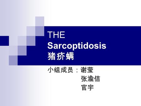 THE Sarcoptidosis 猪疥螨 小组成员：谢莹 张渝佶 官宇. 1.The overview( 概述 ) Sarcoptidosis is a parasitic disease( 寄生虫 病 ) caused by Arthropoda-Arachnida- mites 。 Contacting.