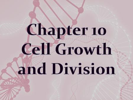 Limits to Cell Growth The larger a cell becomes, the more demands the cell places on its DNA and more trouble the cell has moving enough nutrients and.