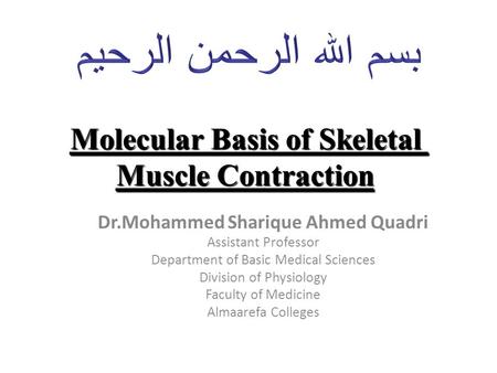 Molecular Basis of Skeletal Muscle Contraction