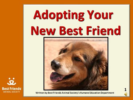 Adopting Your New Best Friend Written by Best Friends Animal Society’s Humane Education Department 1.