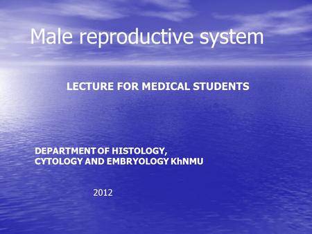 Male reproductive system LECTURE FOR MEDICAL STUDENTS DEPARTMENT OF HISTOLOGY, CYTOLOGY AND EMBRYOLOGY KhNMU 2012.