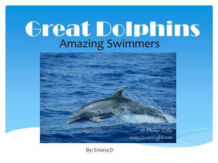 Great Dolphins Amazing Swimmers By: Emma D.  The scientific name for a Bottle Nose dolphin is Tursiops Truncatus.  A dolphin can live up to 45 years.