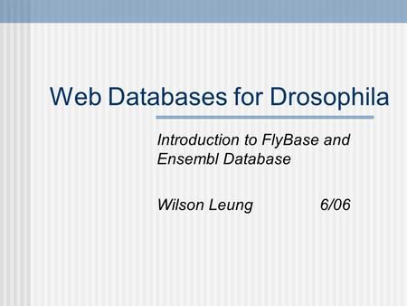 Web Databases for Drosophila Introduction to FlyBase and Ensembl Database Wilson Leung6/06.