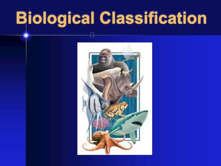Biological Classification. Why Classify? So we can know: How many species are there? What are the characteristics of these species? What are the relationships.