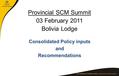 Provincial SCM Summit 03 February 2011 Bolivia Lodge Consolidated Policy inputs and Recommendations.