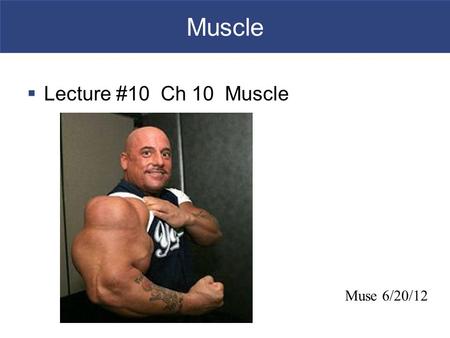 Muscle  Lecture #10 Ch 10 Muscle Muse 6/20/12. An Introduction to Muscle Tissue  Muscle Tissue  A primary tissue type, divided into  Skeletal muscle.