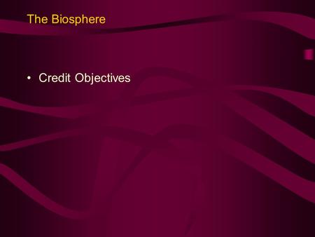 The Biosphere Credit Objectives. Sub-topic (a) Investigating an Ecosystem Identify possible errors that may arise when using techniques for sampling and.