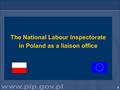 1 The National Labour Inspectorate in Poland as a liaison office.