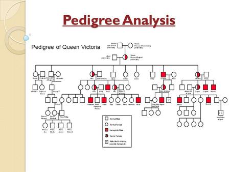 Pedigree Analysis Have you ever seen a family tree… do you have one?? Graphic representation of family inheritance. Pedigree of Queen Victoria.