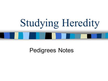 Studying Heredity Pedigrees Notes. What is a pedigree? 1. A pedigree is a diagram of family relationships that uses symbols to represent people and lines.