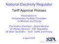 National Electricity Regulator Tariff Approval Process Presentation to: Parliamentary Portfolio Committee on Minerals and Energy Prof Anthon Eberhard –