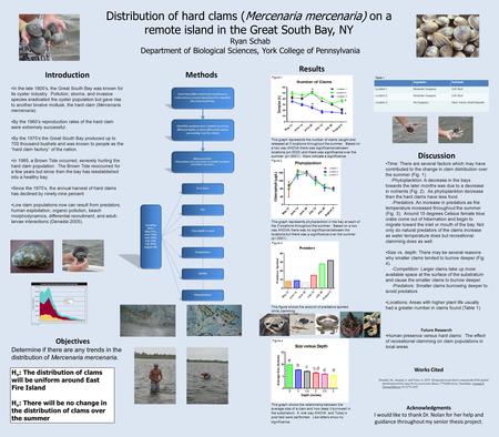 Distribution of hard clams (Mercenaria mercenaria) on a remote island in the Great South Bay, NY Ryan Schab Department of Biological Sciences, York College.