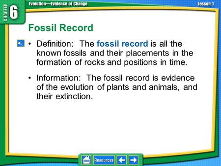 Fossil Record Definition: The fossil record is all the known fossils and their placements in the formation of rocks and positions in time. Information: