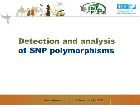 Alexis DereeperCIBA courses – Brasil 2011 Detection and analysis of SNP polymorphisms.