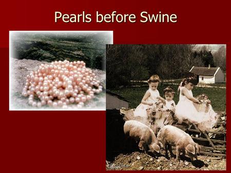 Pearls before Swine. To “cast one’s pearls before swine” is to offer something precious to someone, or a group of people, unable to appreciate the value.