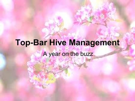 Top-Bar Hive Management A year on the buzz. SPRING! Expansion – spacers Swarm season.