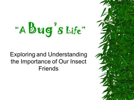 “A Bug’s Life” Exploring and Understanding the Importance of Our Insect Friends.