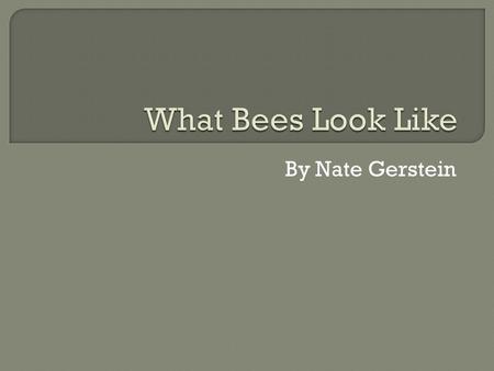 By Nate Gerstein. People should not kill bees because bees make flowers and people will die without flowers. People are killing bees because a yellow.