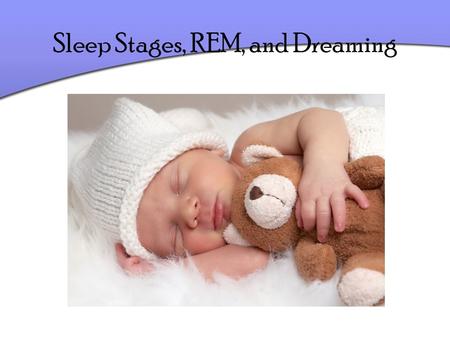 Sleep Stages, REM, and Dreaming. REM and Non-REM Sleep Non- REM Sleep – Stages 1 - 4 considered N-REM (non-REM sleep) REM Sleep – Recurring sleep stage.