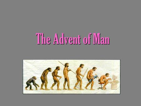 The Advent of Man. The Beginning of Mankind Australopithecus afarensis – “Lucy” This group of hominids lived 5 and a half million years ago in east Africa.