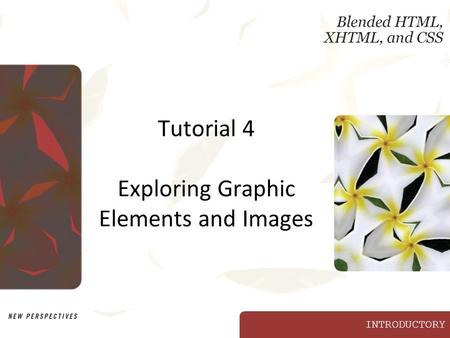 INTRODUCTORY Tutorial 4 Exploring Graphic Elements and Images.