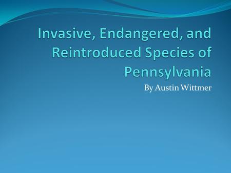 By Austin Wittmer. Endangered Species Definition-A species whose numbers are so small that the species is at risk of extinction. Common Reasons That Cause.