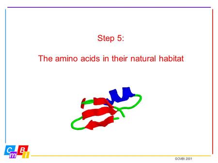 ©CMBI 2001 Step 5: The amino acids in their natural habitat.