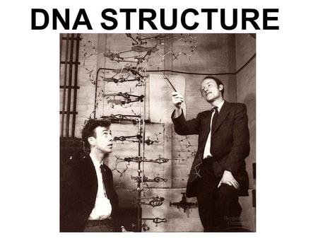 DNA STRUCTURE. DNA Structure DNA is a polymer of nucleotides, each consisting of a nitrogenous base, a sugar, and a phosphate group A-T; C-G made up of.