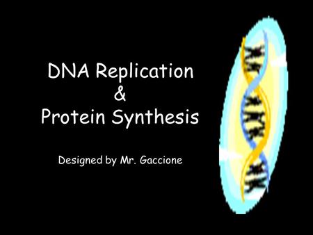 DNA Replication & Protein Synthesis Designed by Mr. Gaccione.