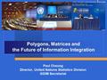 Polygons, Matrices and the Future of Information Integration Paul Cheung Director, United Nations Statistics Division GGIM Secretariat.