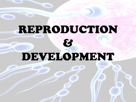 REPRODUCTION & DEVELOPMENT. A METHOD OF REPRODUCTIONIN WHICH ALL GENES PASSED ON TO THE OFFSPRING COME FROM A SINGLE INDIVIDUAL OR PARENT.