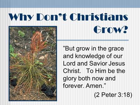 Why Don’t Christians Grow? ”But grow in the grace and knowledge of our Lord and Savior Jesus Christ. To Him be the glory both now and forever. Amen.” (2.