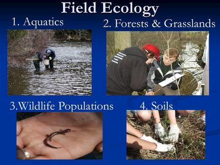 Field Ecology 1. Aquatics 2. Forests & Grasslands 4. Soils3.Wildlife Populations.