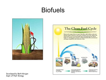Biofuels Developed by Beth Morgan Dept. of Plant Biology.