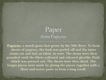 Papyrus: a marsh grass that grows by the Nile River. To form sheets of papyrus, the bark was peeled off and the inner stems cut and laid on fabric in rows.