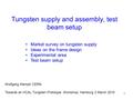 1 Tungsten supply and assembly, test beam setup Market survey on tungsten supply Ideas on the frame design Experimental area Test beam setup Wolfgang Klempt/