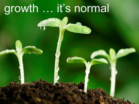 Growth … it’s normal. = But to each one of us grace has been given as Christ apportioned it... 11 So Christ himself gave the apostles, the prophets,